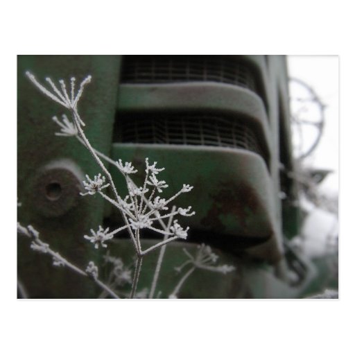 Old Green Tractor Grill with Frozen Flower Postcard