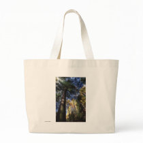 Old-Growth Forest bags
