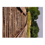 old harbour railway section postcards