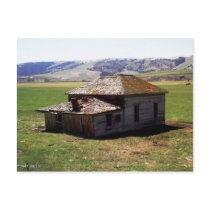 Old Homestead postcards
