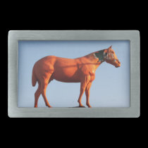 Old Horse Belt Buckle belt buckles