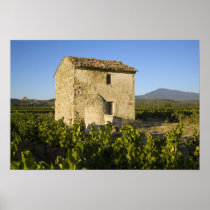 Old house in the Comtat Venaissin, Vaucluse,