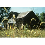 Old House near Mark Twain National Wildlife Refuge