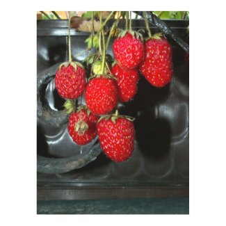 Old ironwork, fresh fruits print