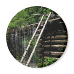 Old Ladder
