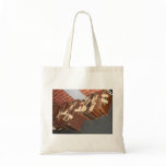 suitcases, cases, luggage, leather, tags, names,