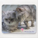 Old love lies deep - cat mousepad