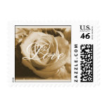 Old love rose stamp