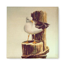 OLD MAN SEAGULL by SHARON SHARPE magnets by sharonsharpe OLD MAN SEAGULL by SHARON SHARPE magnets