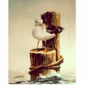 OLD MAN SEAGULL by SHARON SHARPE photo sculptures