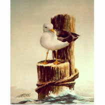 OLD MAN SEAGULL by SHARON SHARPE photo sculptures by sharonsharpe OLD MAN SEAGULL by SHARON SHARPE photo sculptures