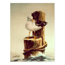OLD MAN SEAGULL by SHARON SHARPE Post Cards