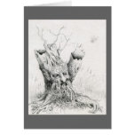"Old Man Tree Spirit" graphite Cards