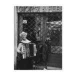italy, rome, accordion, old man, musician, black