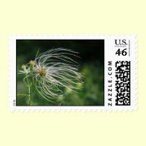 Old Man's Beard Postage postage