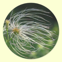 Old Man's Beard Sticker