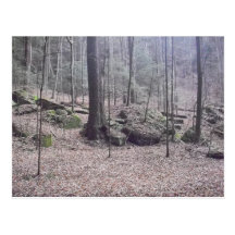 Old Man's Cave Ohio Postcards