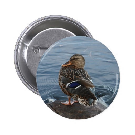 Old McDonald had a duck........... Pins