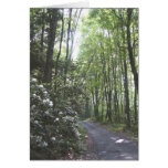 old mine road NJ