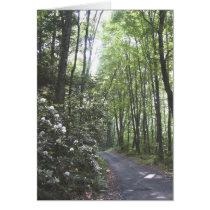old mine road NJ cards by mlkintner old mine road NJ cards