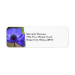 Old Mountain Church Return Address Return Address Labels