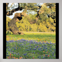 Old Oak Poster