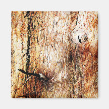 Old Oak Tree Bark Fridge Magnets