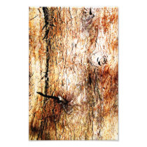 Old Oak Tree Bark Photograph