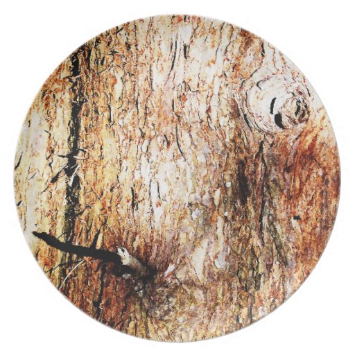 Old Oak Tree Bark Plate Zazzle