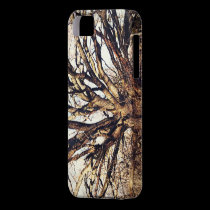 Old Oak Tree casemate cases