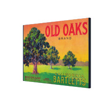Old Oaks Pear Crate LabelBryte, CA Stretched Canvas Print