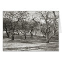 Old Orchard, Apples cards by Merritt_B Old Orchard, Apples cards