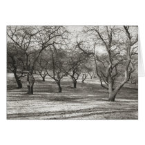 Old Orchard, Apples cards