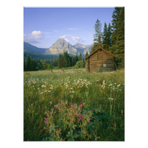 Old Park Service cabin in the Cut Bank Valley