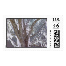 Old pecan tree postage stamps