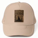 Old Photo Tomb Cat Mesh Hats