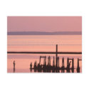 Old Pier postcards