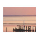 Old Pier postcards