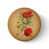 Old Pomegranate Illustration buttons by opheliasart Old Pomegranate Illustration buttons