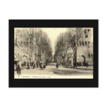 Old Postcard - Avignon