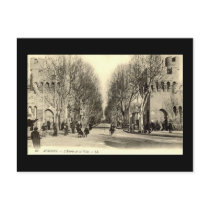 Old Postcard - Avignon