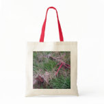 Old Red Bike Bag
