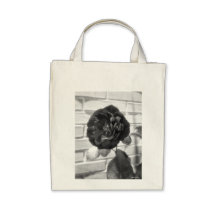 Old Red Rose 2  B&W Canvas Bags