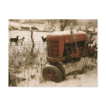Old Red Tractor with Goats Christmas Postcard