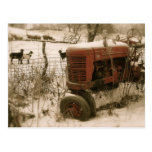 Old Red Tractor with Goats Christmas Postcard
