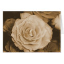 Old Rose Card by bkang22 Old Rose Card