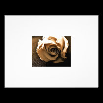 Old Rose invitations