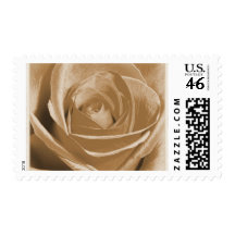 Old Rose medium stamp
