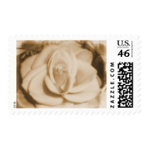 Old Rose postage