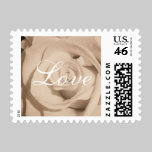 Old rose stamps